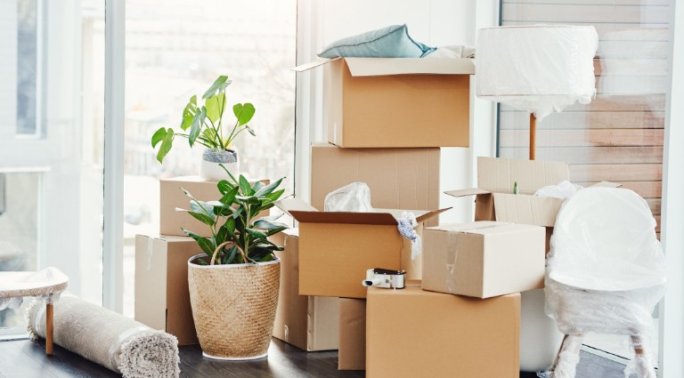 9 Moving Home Packing Tips